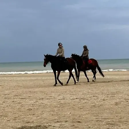 Les Planches De Celine, Beau T2 A Deauville