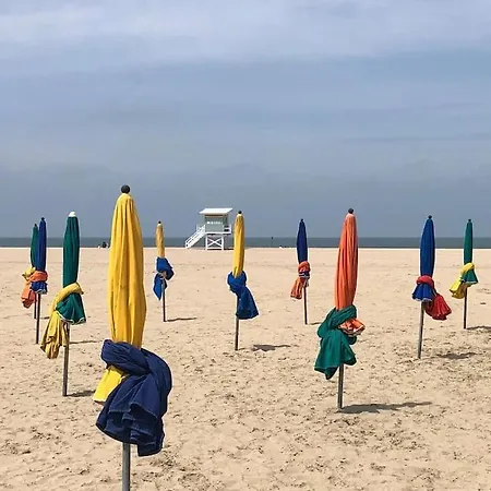 Les Planches De Celine, Beau T2 A